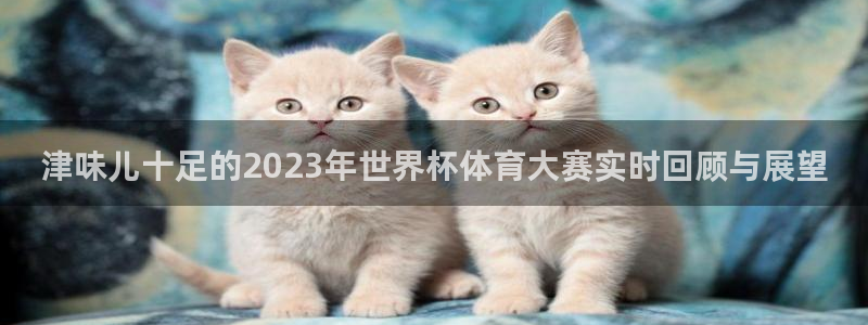 津味儿十足的2023年世界杯体育大赛实时回顾与展望