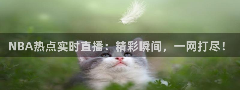 NBA热点实时直播：精彩瞬间，一网打尽！