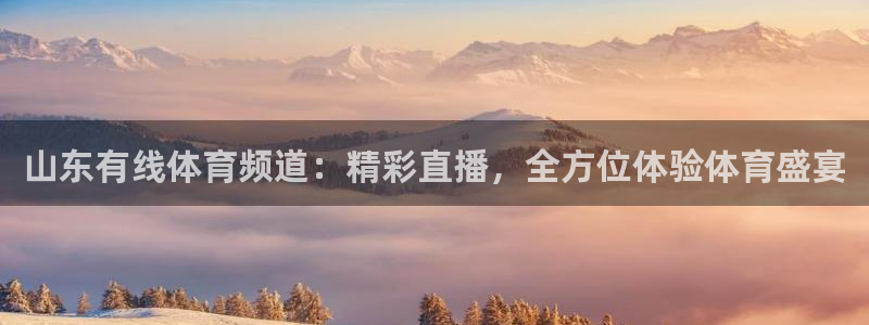 山东有线体育频道：精彩直播，全方位体验体育盛宴