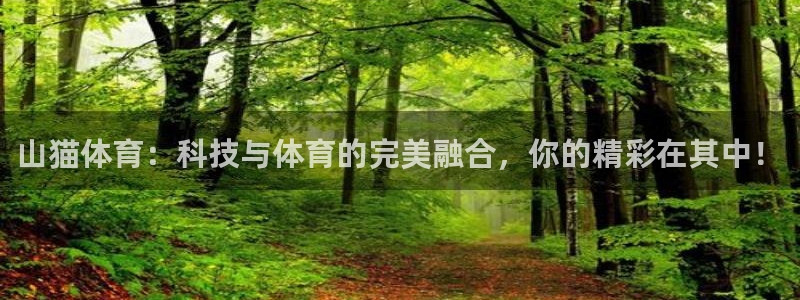 山猫体育：科技与体育的完美融合，你的精彩在其中！