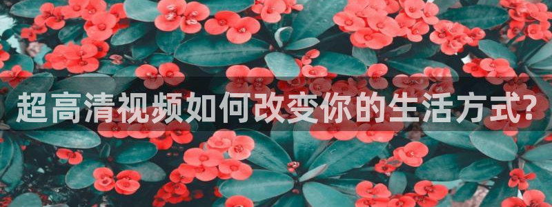 超高清视频如何改变你的生活方式?