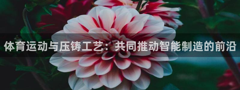 体育运动与压铸工艺：共同推动智能制造的前沿