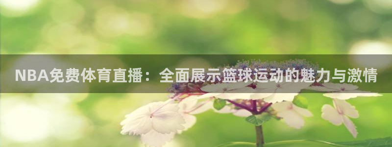 NBA免费体育直播：全面展示篮球运动的魅力与激情