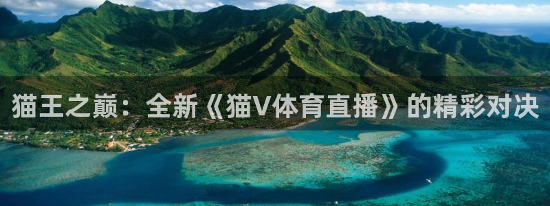 猫王之巅：全新《猫V体育直播》的精彩对决