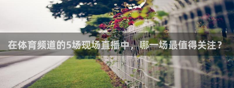 在体育频道的5场现场直播中，哪一场最值得关注？
