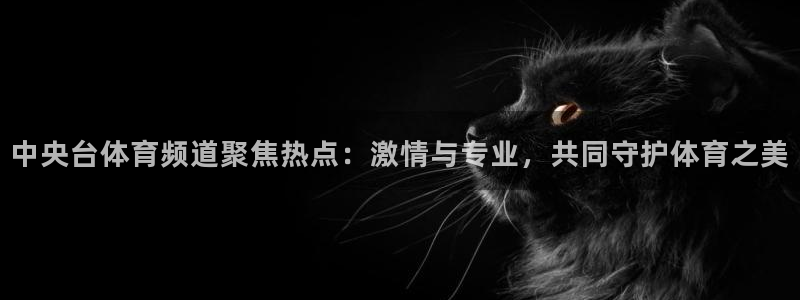 中央台体育频道聚焦热点：激情与专业，共同守护体育之美