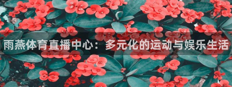 雨燕体育直播中心：多元化的运动与娱乐生活