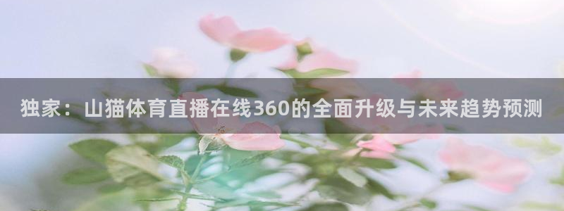 独家：山猫体育直播在线360的全面升级与未来趋势预测