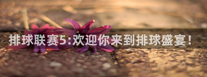 排球联赛5:欢迎你来到排球盛宴！