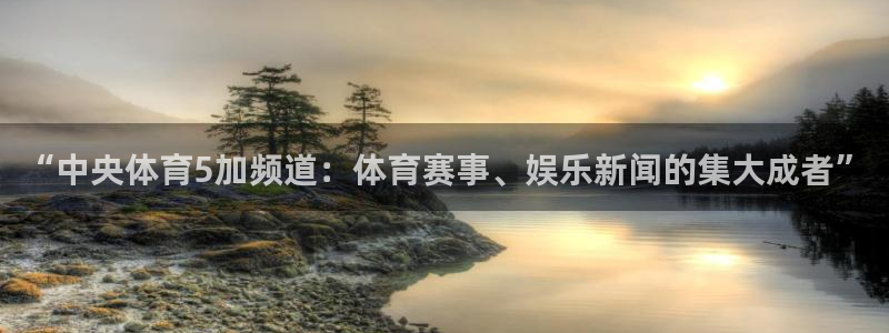 “中央体育5加频道：体育赛事、娱乐新闻的集大成者”