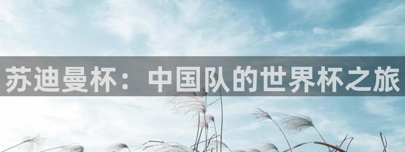 苏迪曼杯：中国队的世界杯之旅
